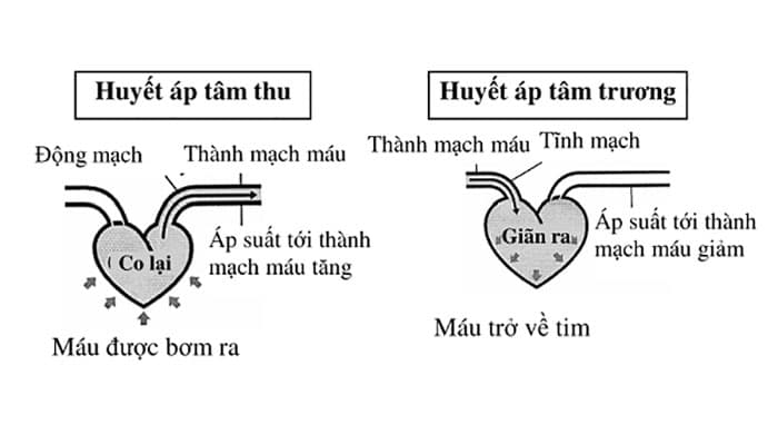 Huyết áp tầm thu,huyết áp tâm thương là gì