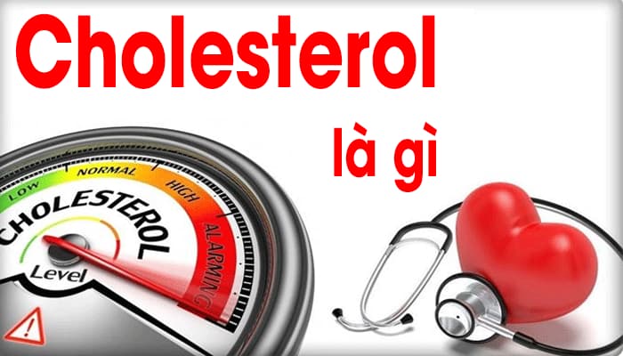 Cholesterol là gì? Có mấy loại Cholesterol?