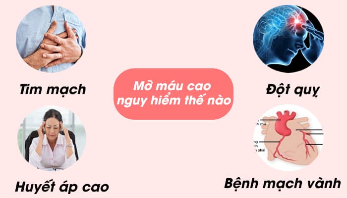 Bệnh mỡ máu có thể nguy hiểm đến cở nào