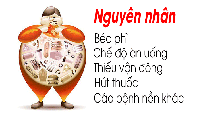 Các nguyên nhân gây nên mỡ máu cao cần đề phòng